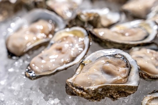 Things To Do Shuckums Oyster Pub & Seafood Grill